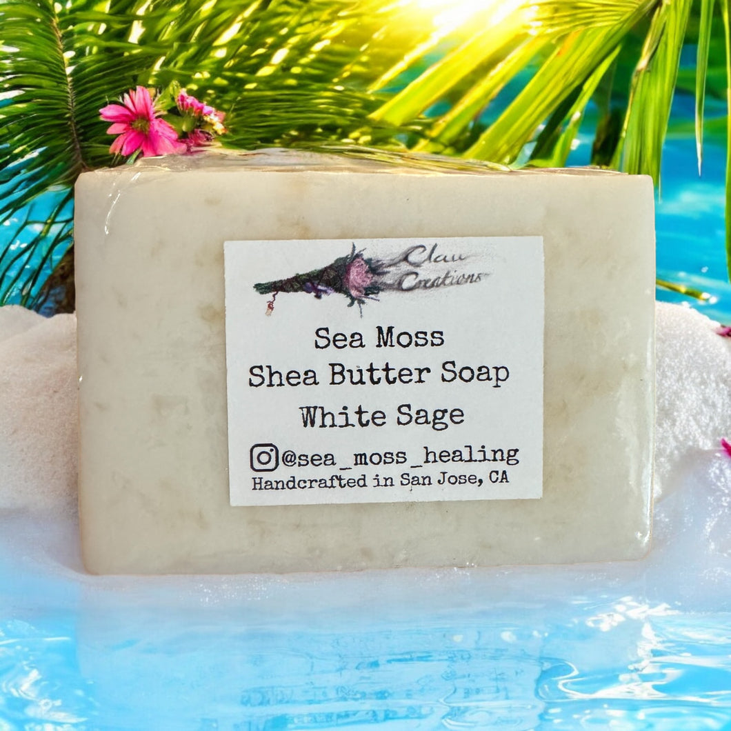 Sea Moss White Sage Soap