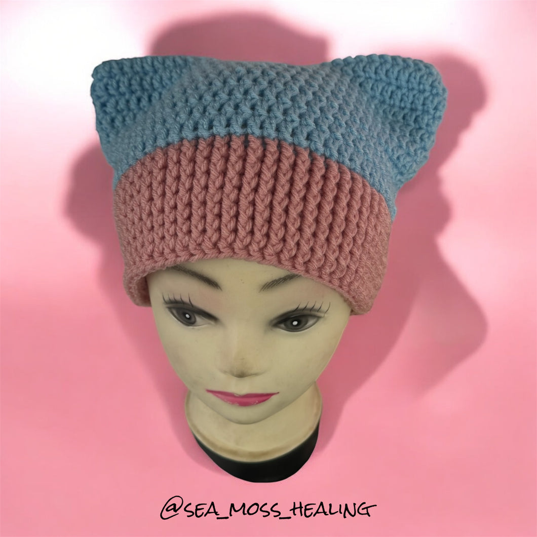 Cat Ear Crochet Beanie