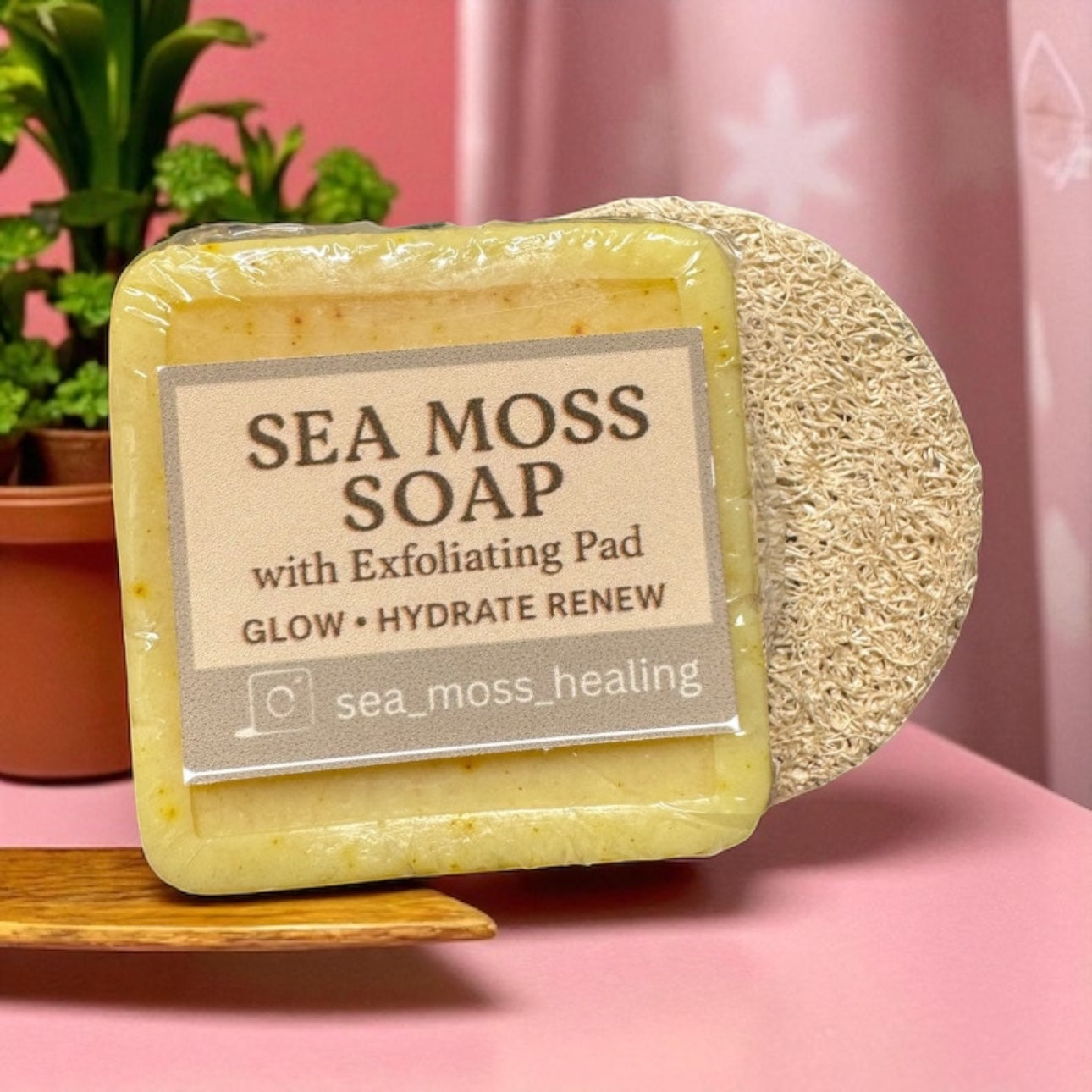 Mini Sea Moss Facial Kit